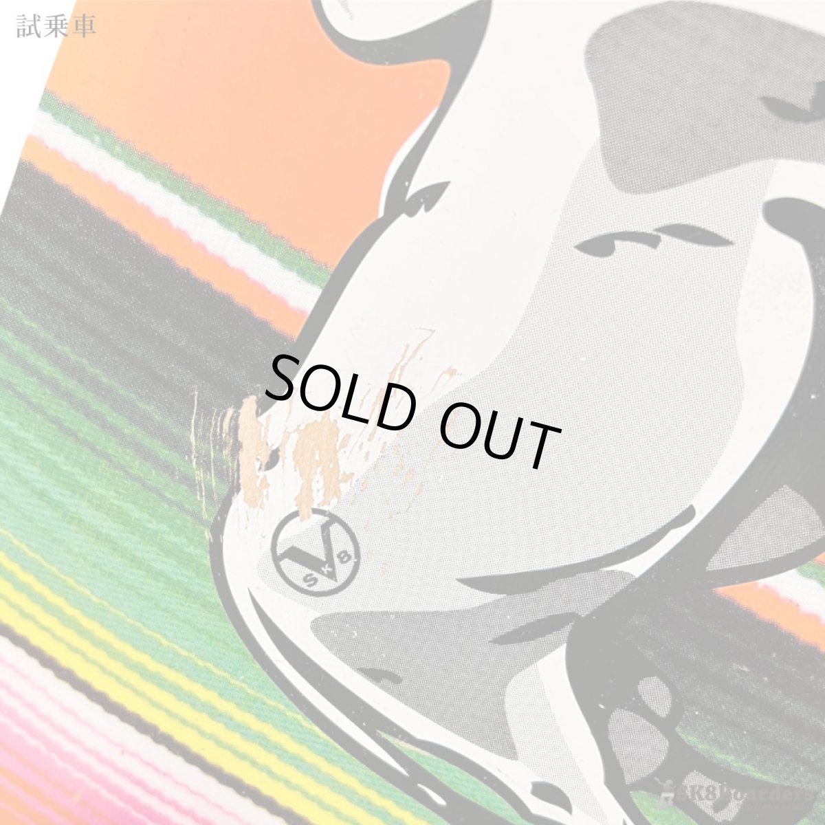 画像6: 29インチ Del Mar Surfskate トラック搭載 コンプリート【中古品・試乗車】 (6)