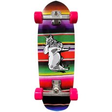 画像1: 29インチ Del Mar Surfskate トラック搭載 コンプリート (1)