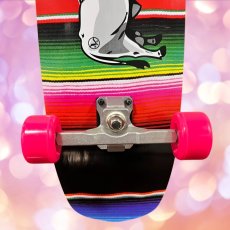 画像8: 29インチ Del Mar Surfskate トラック搭載 コンプリート (8)