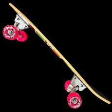 画像9: 29インチ Del Mar Surfskate トラック搭載 コンプリート (9)